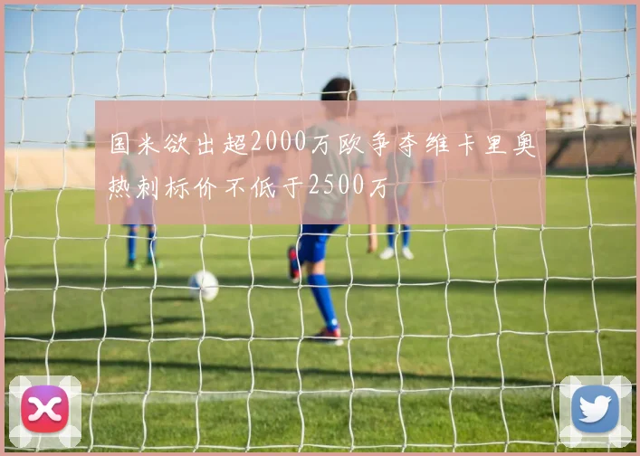 国米欲出超2000万欧争夺维卡里奥热刺标价不低于2500万