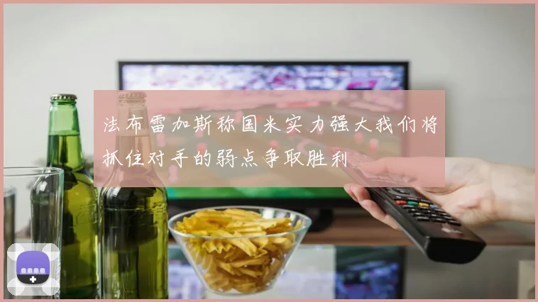 法布雷加斯称国米实力强大我们将抓住对手的弱点争取胜利